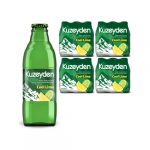 KUZEYDEN LİMONLU SODA 200 ML 24’LÜ