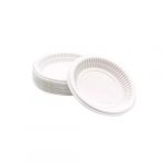 PLASTİK TABAK 17 CM 100’LÜ